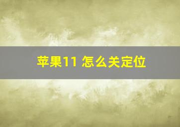 苹果11 怎么关定位